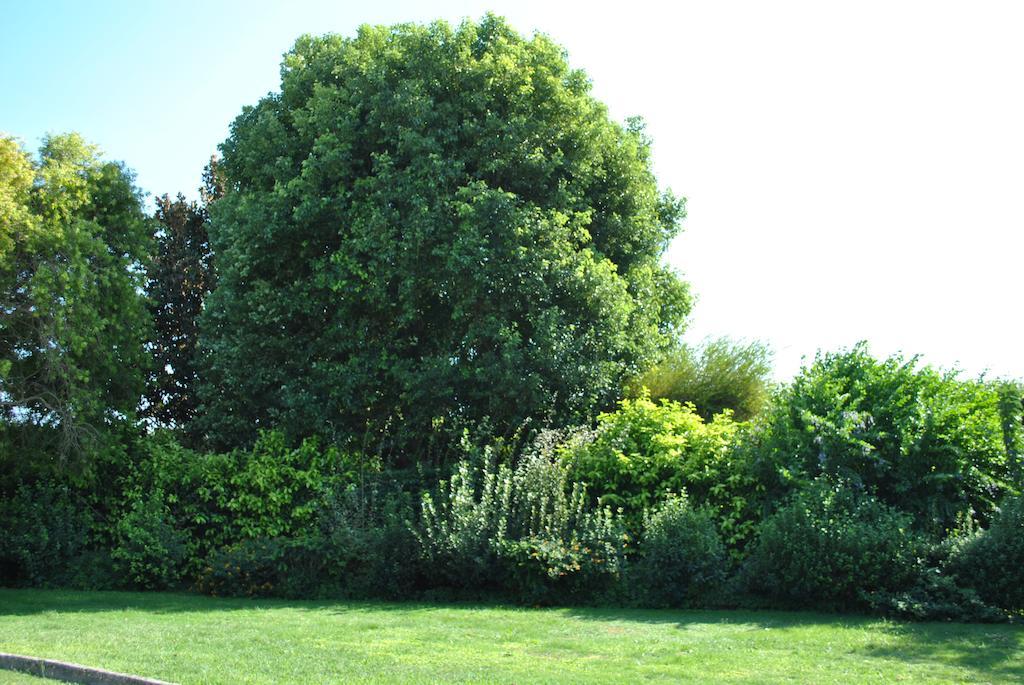 Chic & Country Bed & Breakfast Lecce Exterior foto